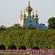 Петергофский пейзаж